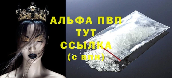 индика Алексин