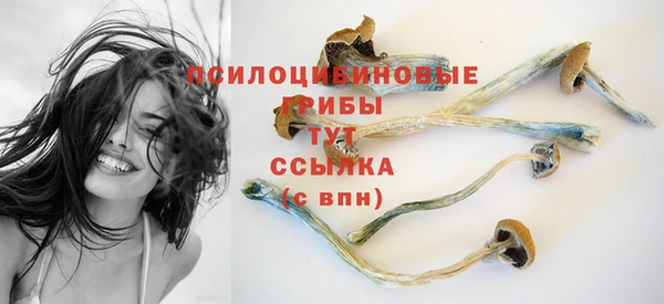 ешки Алзамай