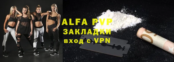 индика Алексин