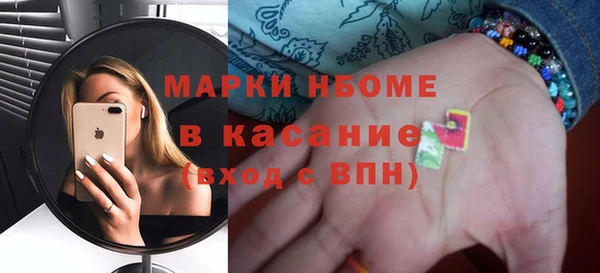 индика Алексин