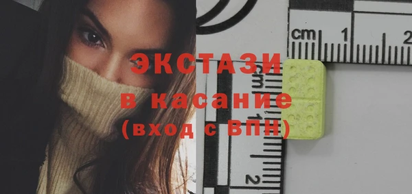 индика Алексин
