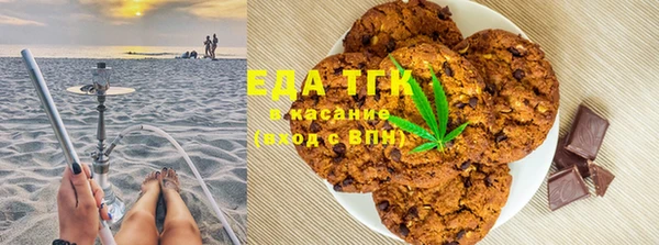индика Алексин