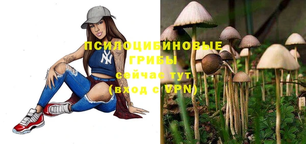 соль ск Алексеевка