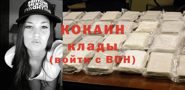 индика Алексин