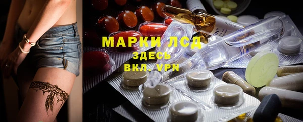 индика Алексин