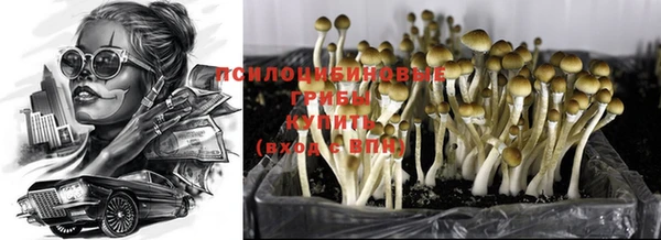 ешки Алзамай
