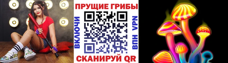 блэк спрут ССЫЛКА  где можно купить   Невинномысск  Псилоцибиновые грибы мухоморы 